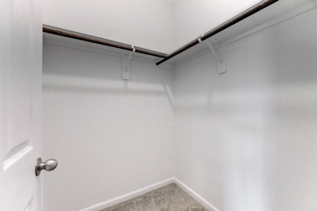 spacious closet with carpet floors