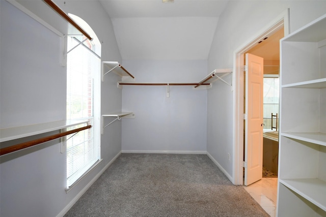 18719 Racquet Sports Way, Humble, TX 77346 - walk in closet featuring light colored carpet and vaulted ceiling