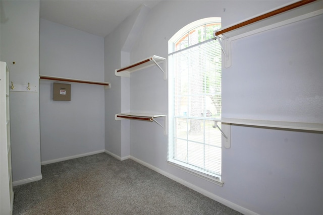 18719 Racquet Sports Way, Humble, TX 77346 - spacious closet featuring carpet