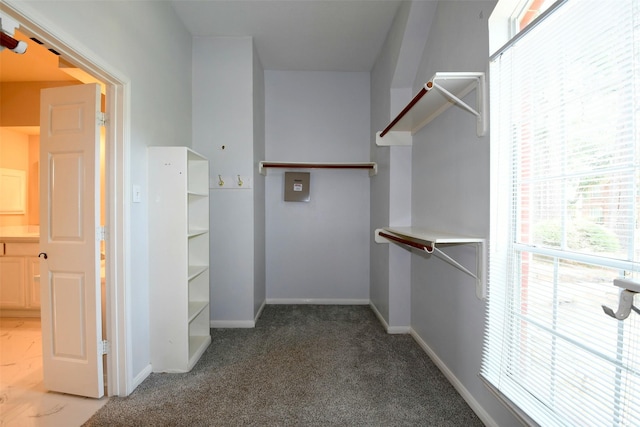 18719 Racquet Sports Way, Humble, TX 77346 - spacious closet featuring light colored carpet