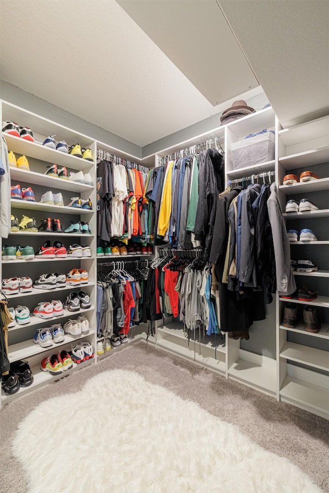 31511 Kailua Dr, Hockley, TX 77447 - walk in closet featuring carpet