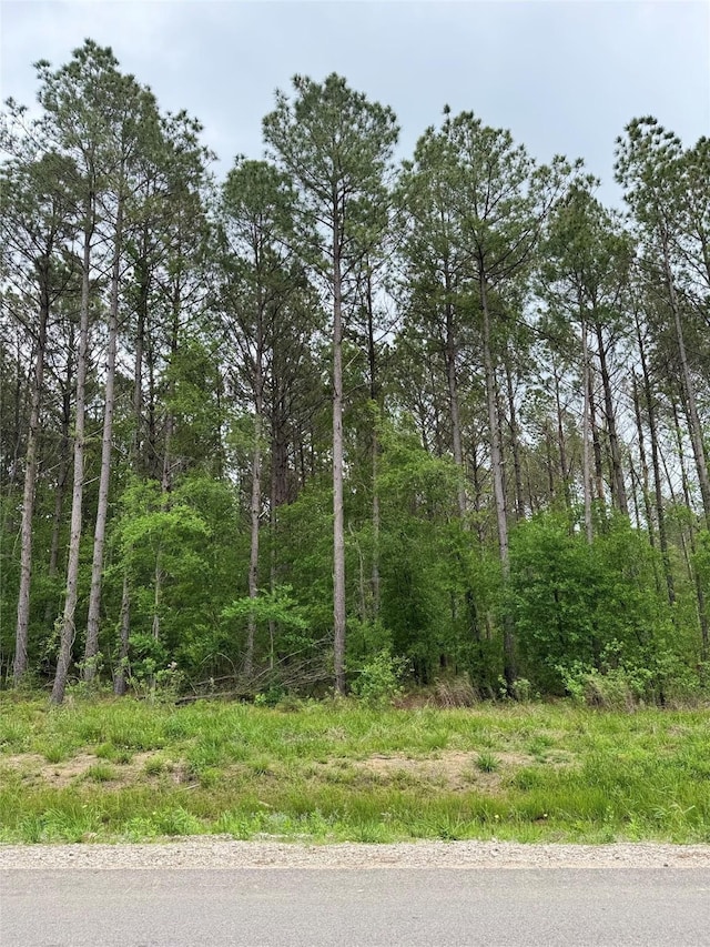 1288 Rd 6604, Dayton, TX 77535