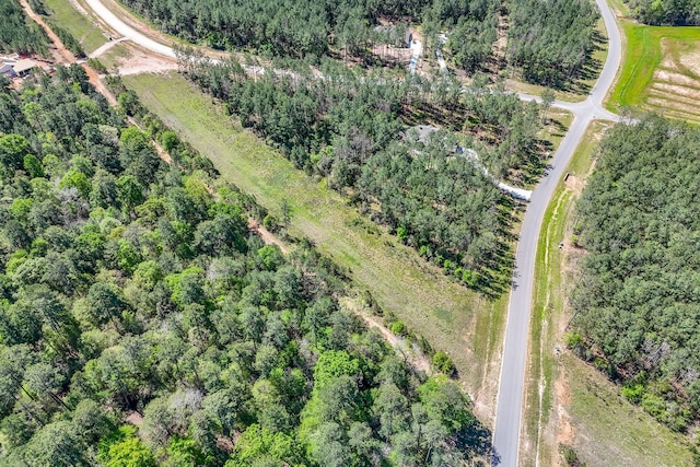 15866 Four Hills Rd, Willis, TX 77378 - photo 2