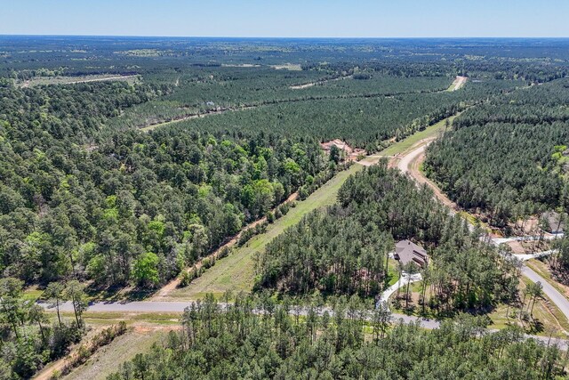 15866 Four Hills Rd, Willis, TX 77378 - photo 5