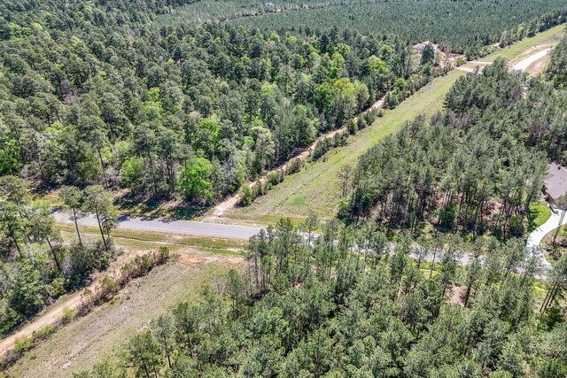 15866 Four Hills Rd, Willis, TX 77378 - photo 13