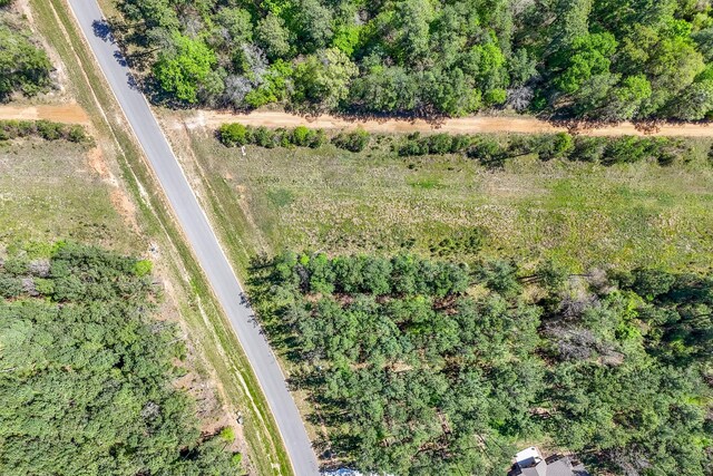 15866 Four Hills Rd, Willis, TX 77378 - photo 12