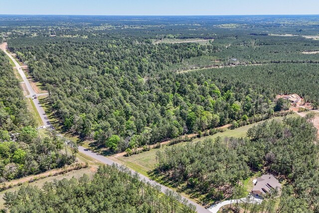 15866 Four Hills Rd, Willis, TX 77378 - photo 32