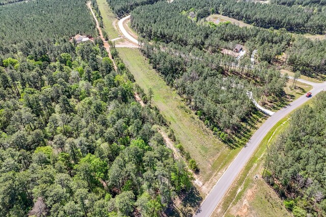 15866 Four Hills Rd, Willis, TX 77378 - photo 23