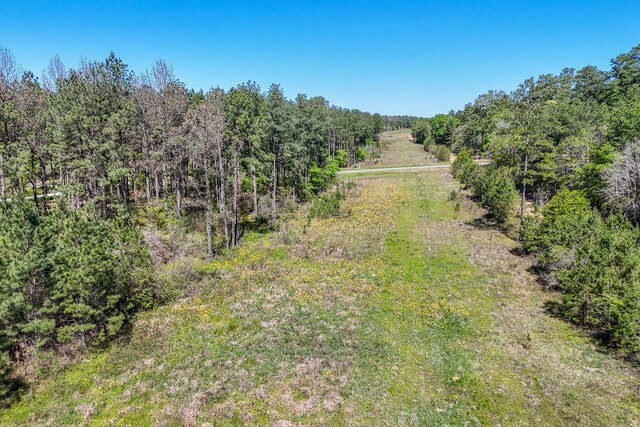 15866 Four Hills Rd, Willis, TX 77378 - photo 18