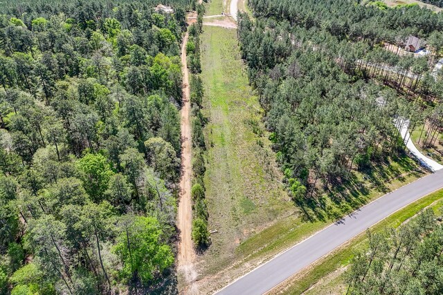 15866 Four Hills Rd, Willis, TX 77378 - photo 22