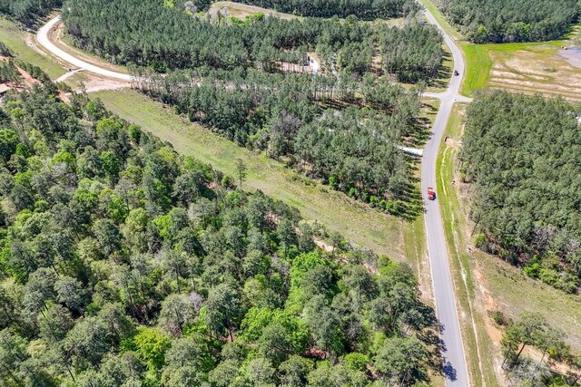 15866 Four Hills Rd, Willis, TX 77378 - photo 24