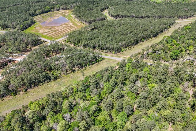 15866 Four Hills Rd, Willis, TX 77378 - photo 10