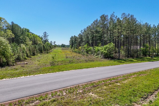 15866 Four Hills Rd, Willis, TX 77378 - photo 15