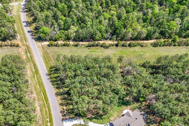 15866 Four Hills Rd, Willis, TX 77378 - photo 7