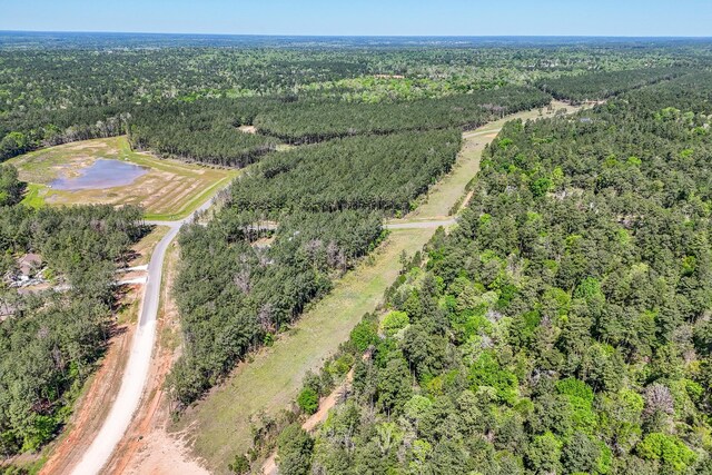 15866 Four Hills Rd, Willis, TX 77378 - photo 9