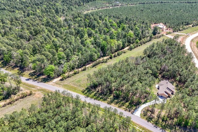 15866 Four Hills Rd, Willis, TX 77378 - photo 6
