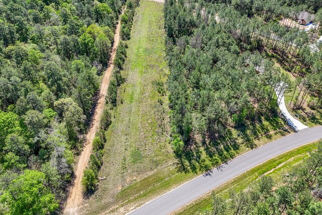 15866 Four Hills Rd, Willis, TX 77378 - photo 14