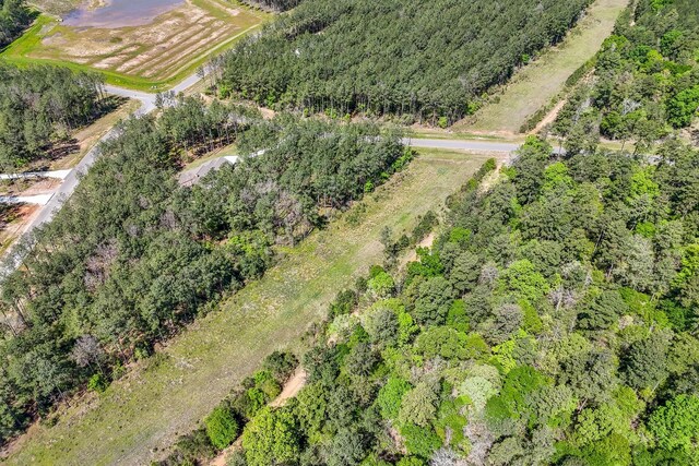 15866 Four Hills Rd, Willis, TX 77378 - photo 27