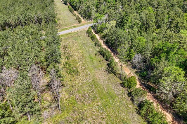 15866 Four Hills Rd, Willis, TX 77378 - photo 19