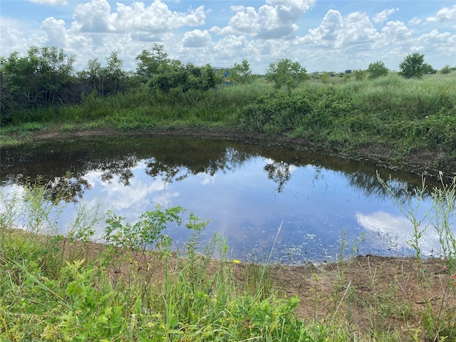 0 Kveton Rd, Cat Spring, TX 78933