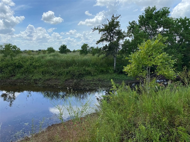 0 Kveton Rd, Cat Spring, TX 78933