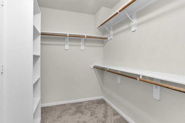 165 Camelot Place Ct, Conroe, TX 77304 - spacious closet featuring carpet flooring