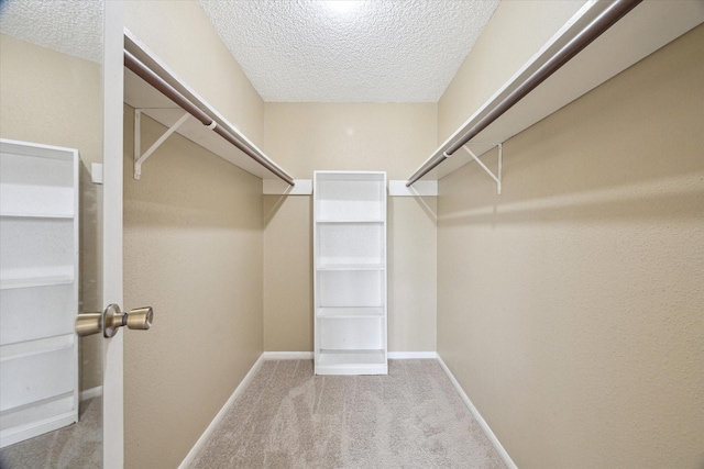 walk in closet with carpet