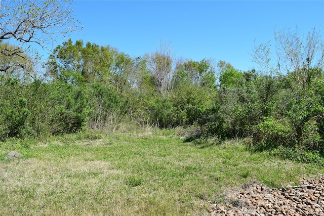 899 Medic Ln, Alvin, TX 77511 - photo 8