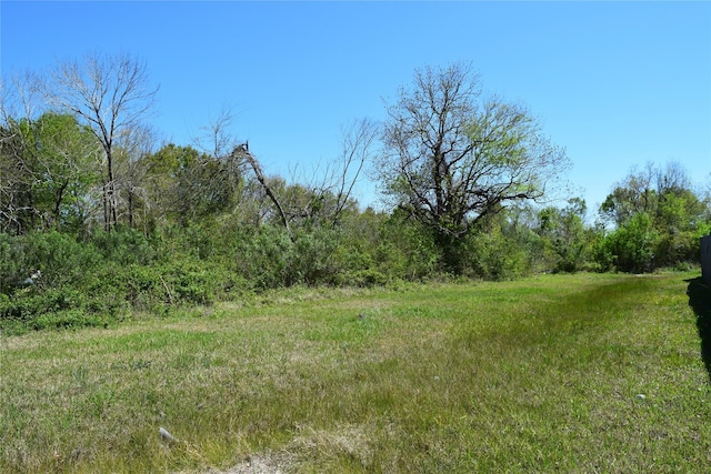 899 Medic Ln, Alvin, TX 77511 - photo 12