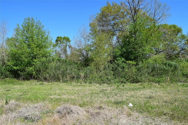 899 Medic Ln, Alvin, TX 77511 - photo 9