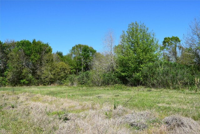 899 Medic Ln, Alvin, TX 77511 - photo 10