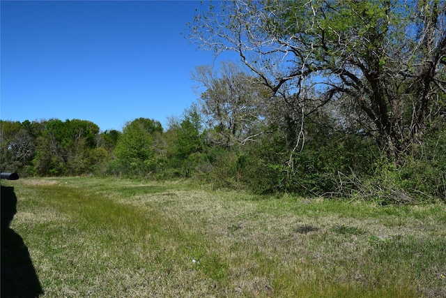 899 Medic Ln, Alvin, TX 77511 - photo 7
