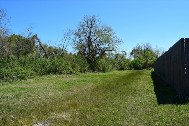 899 Medic Ln, Alvin, TX 77511 - photo 11