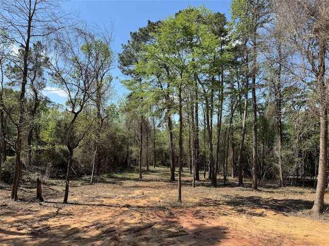 40715 Pipestone Rd, Magnolia, TX 77354 - view of landscape with a wooded view