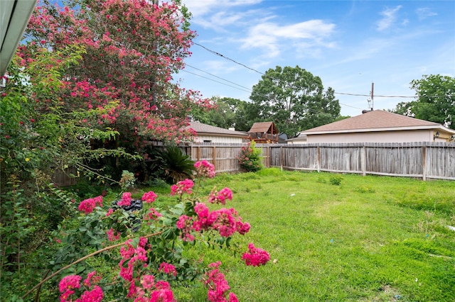 6206 Yarwell Dr, Houston, TX 77096 - view of fenced backyard