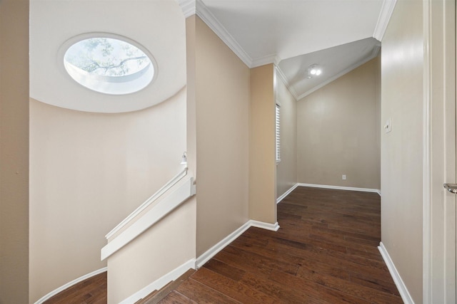 corridor with plenty of natural light, ornamental molding, baseboards, and wood finished floors