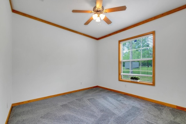 365 County Road 3371, Cleveland, TX 77327 - photo 17