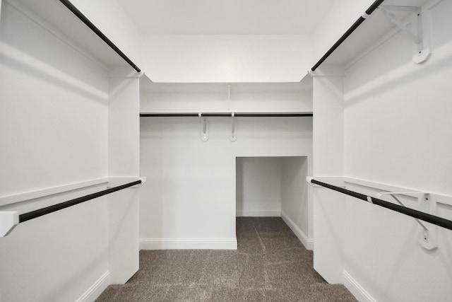14647 Cedar Elm Ct, Willis, TX 77318 - walk in closet featuring dark colored carpet