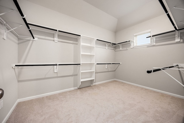 walk in closet with carpet