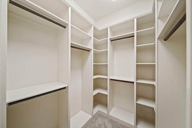 5730 Balcones Ridge Ln, Houston, TX 77059 - view of walk in closet