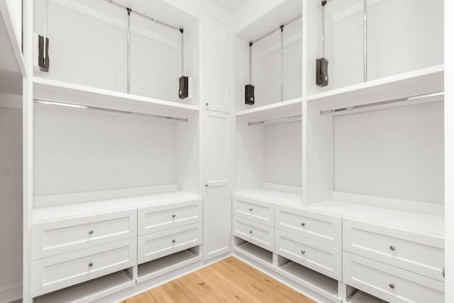 1024 Waverly St, Houston, TX 77008 - spacious closet featuring light wood-style floors