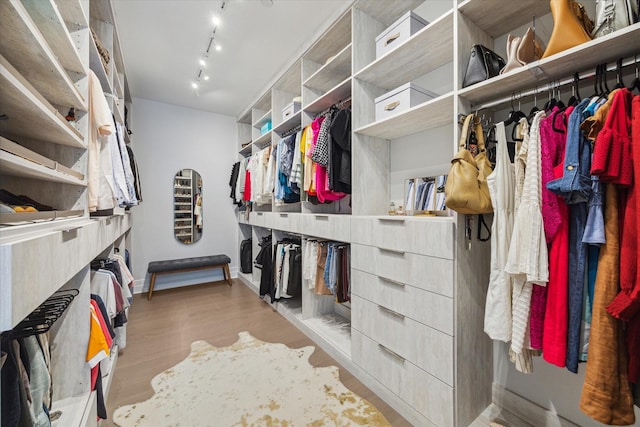 walk in closet featuring wood finished floors
