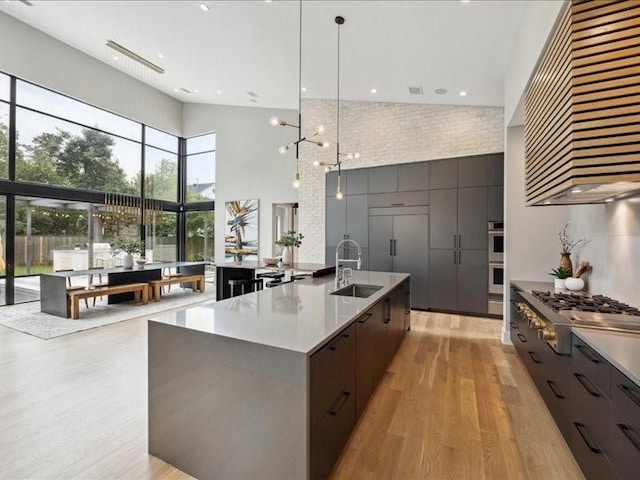 kitchen with appliances with stainless steel finishes, a sink, premium range hood, a towering ceiling, and modern cabinets