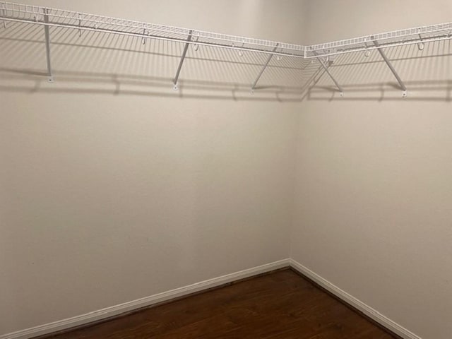 walk in closet featuring dark wood-type flooring