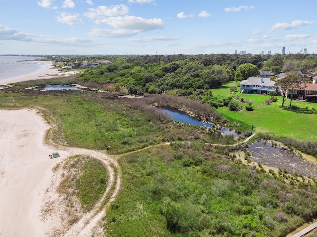 bird's eye view of a nearby body of water