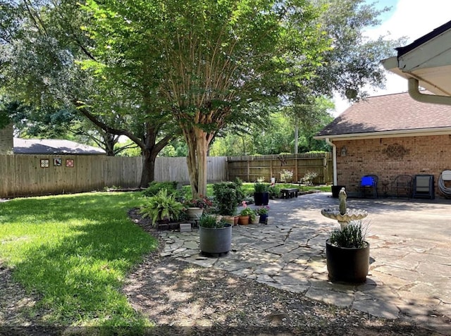 view of yard with a fenced backyard and a patio