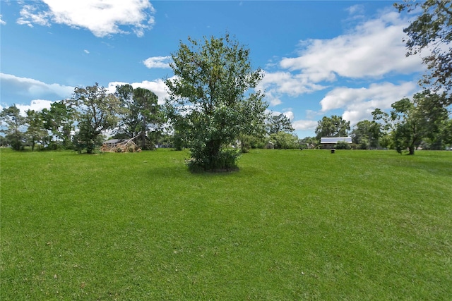 TBD N Shady Oaks Dr, Point Blank, TX 77364