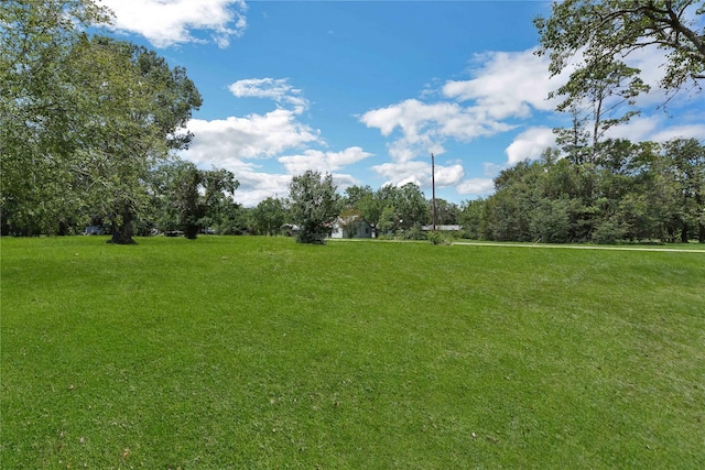 TBD N Shady Oaks Dr, Point Blank, TX 77364