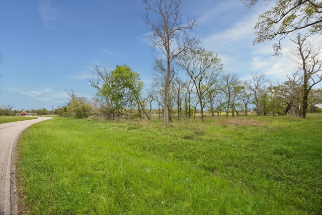 16219 Tankersley Dr, Rosharon, TX 77583 - photo 3