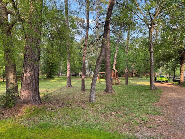 0 Hickory Knl, Willis, TX 77318 - photo 3